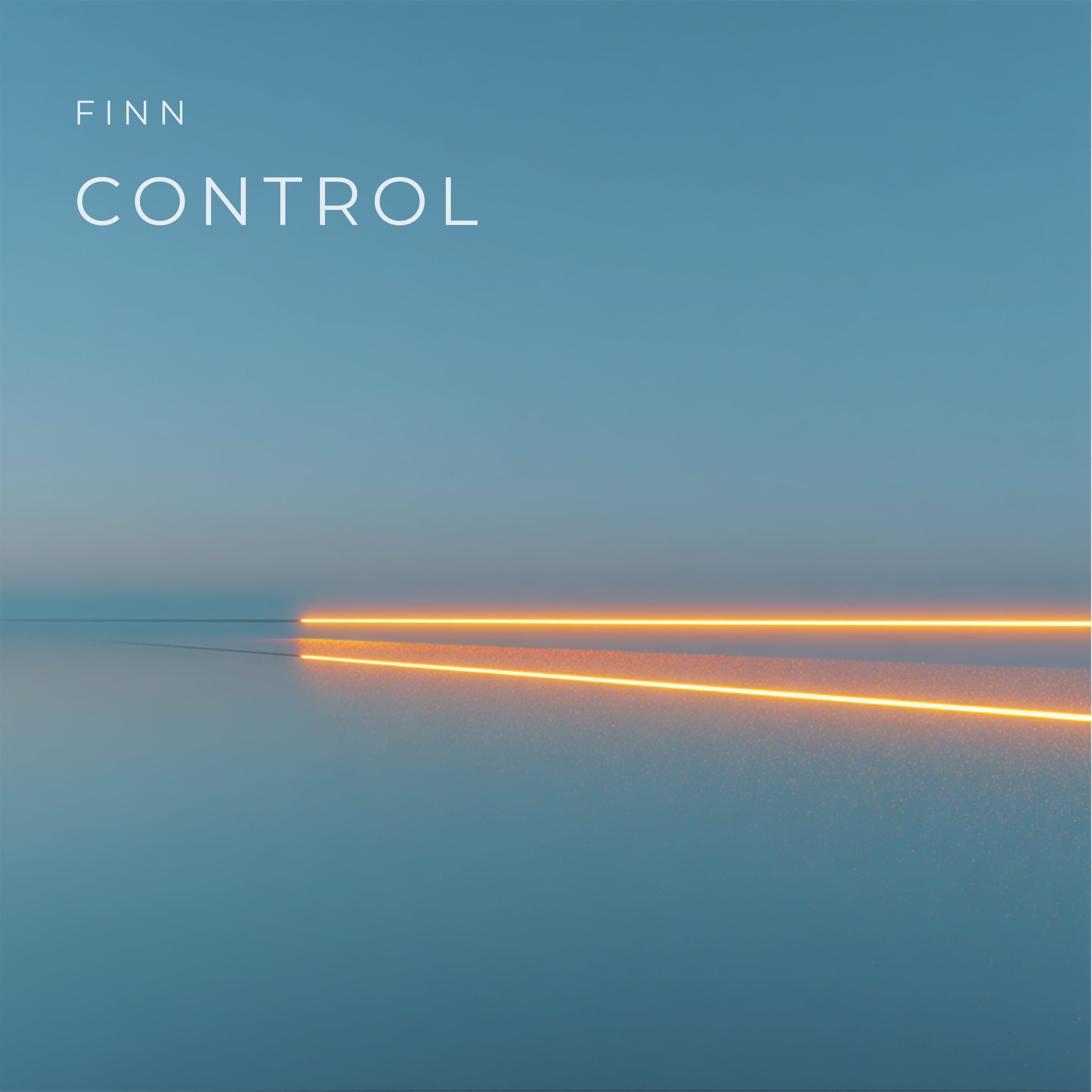 FINN artwork 2