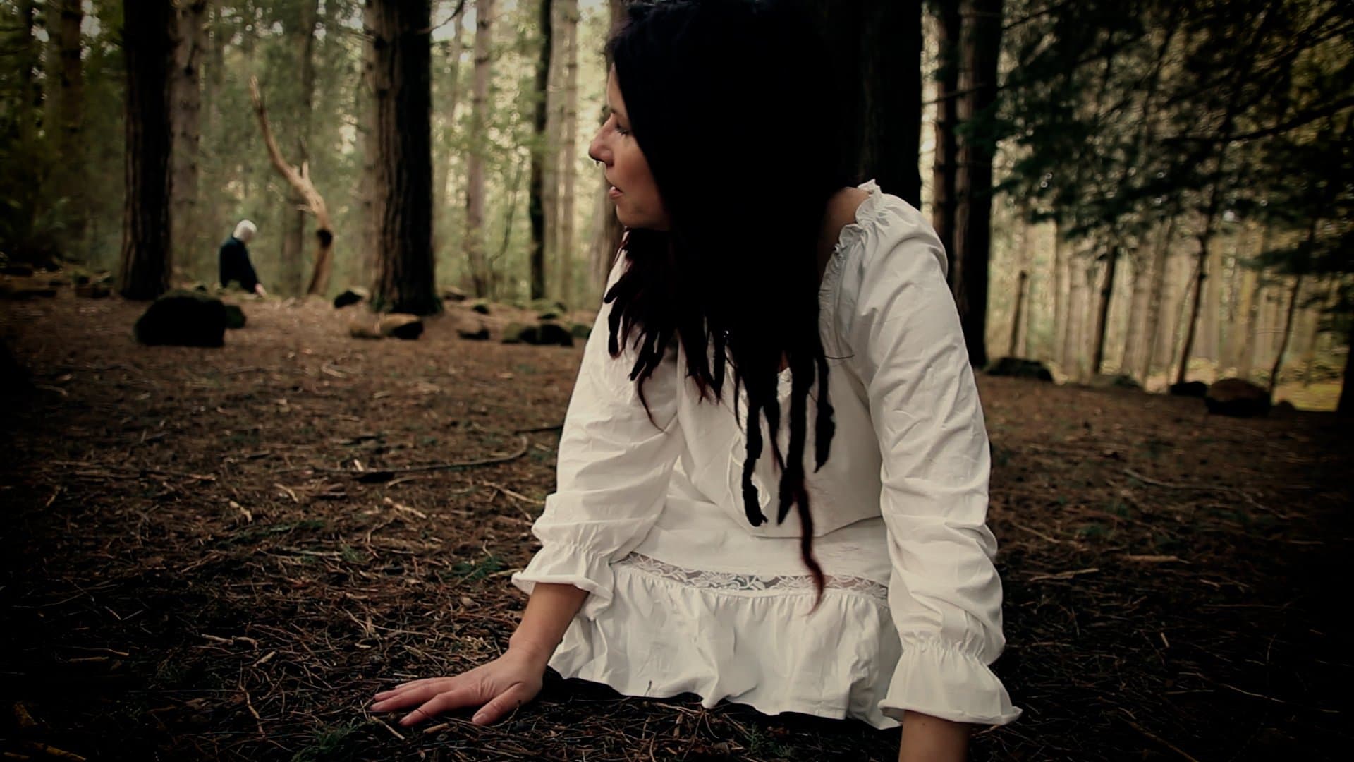 VAN RAVEN artwork 2